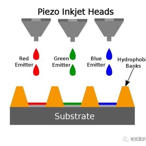 從事OLED器件和材料研究！廖良生入選俄羅斯工程院外籍院士